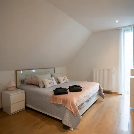 Les Arbres Sous Le Vent A 10 Min De Pairi Daiza Bed & Breakfast Jurbise
