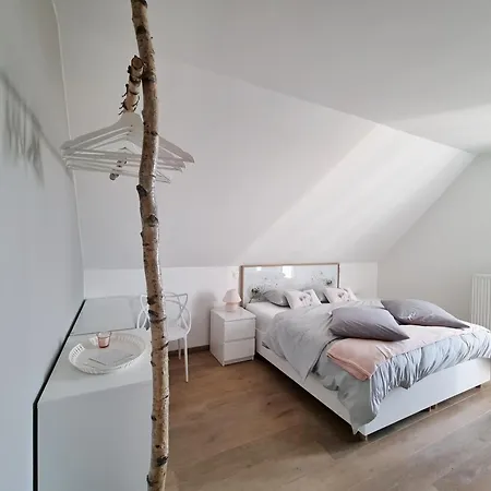 Les Arbres Sous Le Vent A 10 Min De Pairi Daiza Bed & Breakfast 4*