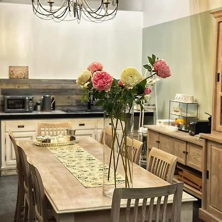 Bed & Breakfast Les Arbres Sous Le Vent A 10 Min De Pairi Daiza 4*