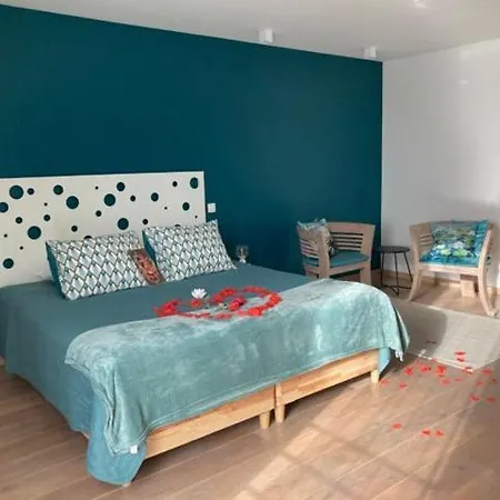 Les Arbres Sous Le Vent A 10 Min De Pairi Daiza B&B Jurbise