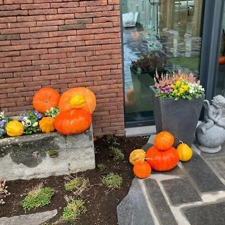 Les Arbres Sous Le Vent A 10 Min De Pairi Daiza B&B Jurbise